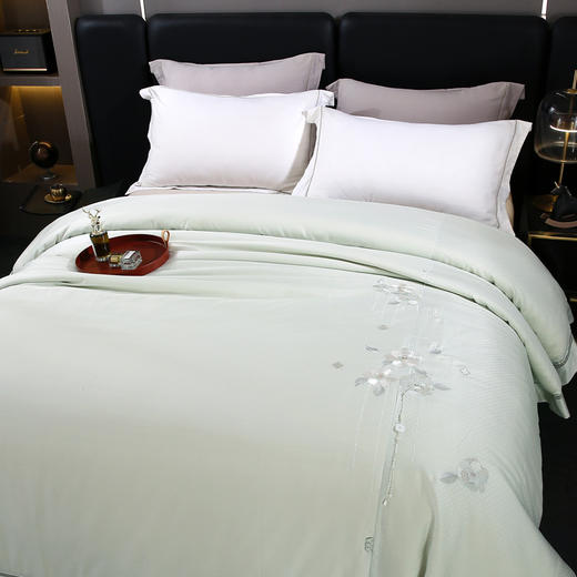 湘绣雅韵蚕丝被（活套型）【悠梦嘉居湘绣雅韵蚕丝被，活套型设计100%蚕丝填充，再生纤维素纤维面料，柔软舒适常规码200*230，绿水长汀】 商品图2