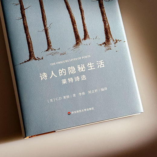 诗人的隐秘生活 莱特诗选 精装 C.D.莱特 商品图4