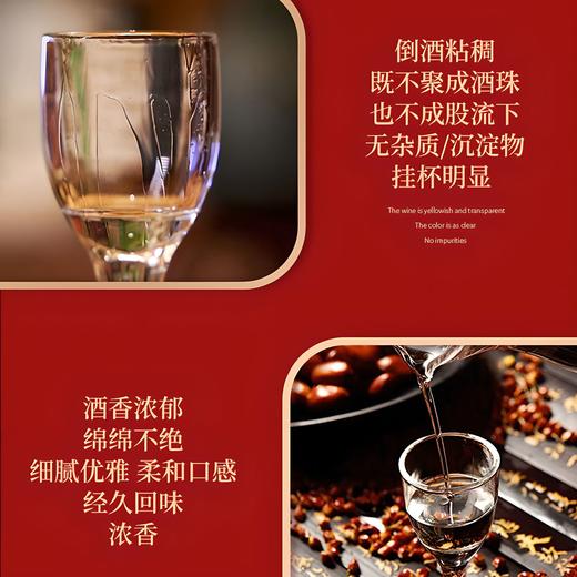 一价到底 【五粮液·尊酒】龙年限定 宜宾总厂 经典五粮 限时福利 开仓放价 商品图2