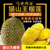 [最农公社]正品马来西亚猫山王榴莲鲜果树上熟 收到冷藏后立刻食用风味口感佳（顺丰京东陆运） 商品缩略图0