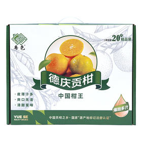 德庆贡柑20只装