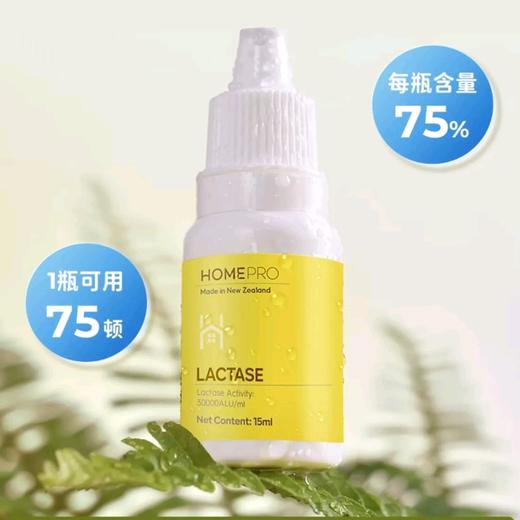 合普诺乳糖酶15ml/瓶宝宝幼儿童蛋白酶消化酶酸性不耐受 商品图0