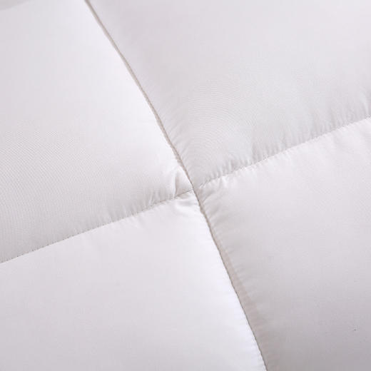超柔绣花羽丝绒被【悠梦嘉居YB-15111超柔绣花羽丝绒被200*230CM3000克  超柔保暖冬被羽丝绒被，暖白】 商品图5