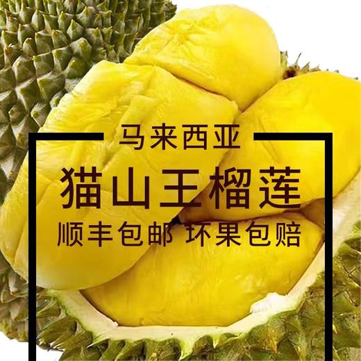 [最农公社]正品马来西亚猫山王榴莲鲜果树上熟 收到冷藏后立刻食用风味口感佳（顺丰京东陆运） 商品图1
