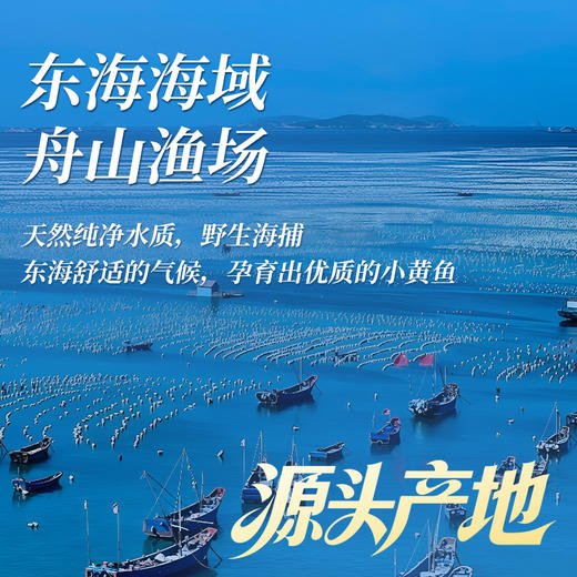 【GJ链接请勿用!!!】【舟山野生小黄鱼礼盒】液氮锁鲜，新年 “小金条”，500克/袋 商品图1