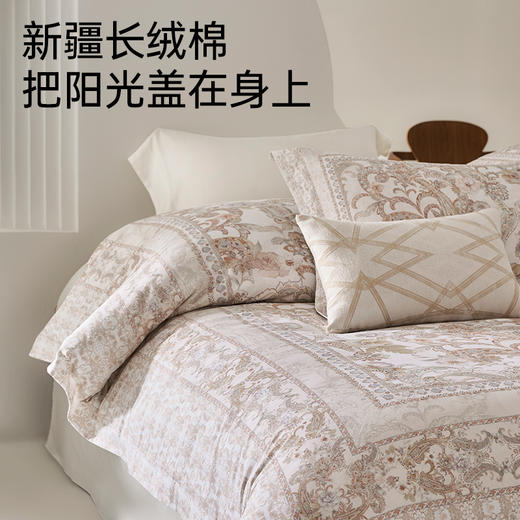 新疆长绒棉60支印花四件套(芸川) 商品图1