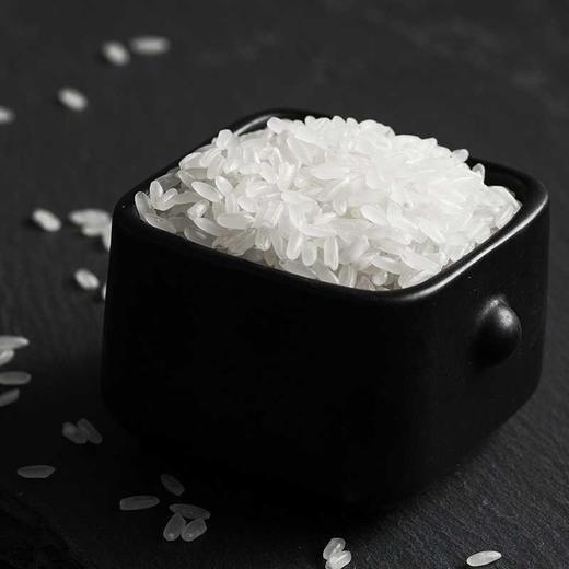 深粮多喜 常香稻五常大米
5kg 商品图4