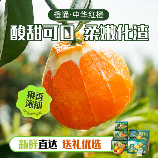 【京东快递】秭归中华红橙 橙子界的营养课代表 9甜1酸 99%无籽 皮薄肉厚 化渣度高超强爆汁 沁心爽口 ACS 商品图3