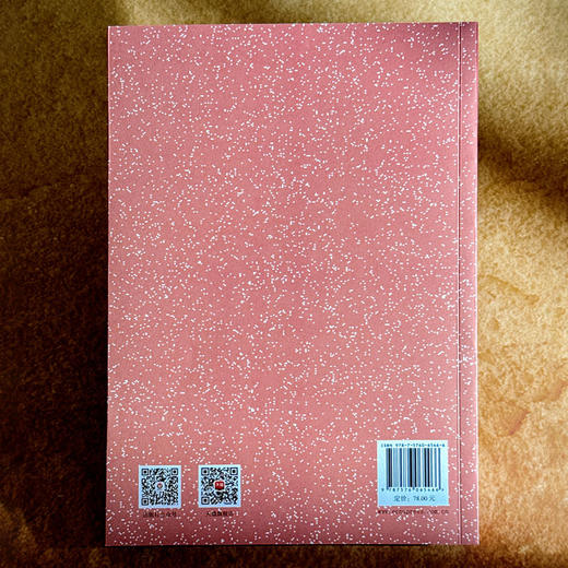 让建构自然发生 幼儿园“慧建构”活动的开发与实施 尹萍 聚焦师幼共生 商品图2