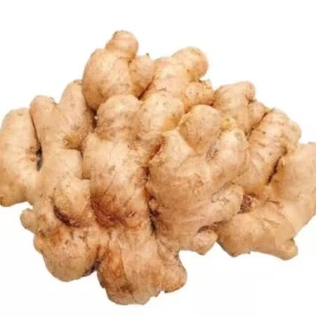 【黔南平塘】现挖小黄姜 农家自产 0.5kg/箱 商品图2