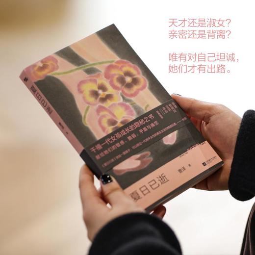 夏日已逝 商品图2