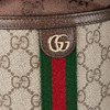 GUCCI 古驰 女士 Ophidia系列 迷你水桶包 混色 838462 FAE0O 9869 商品缩略图6