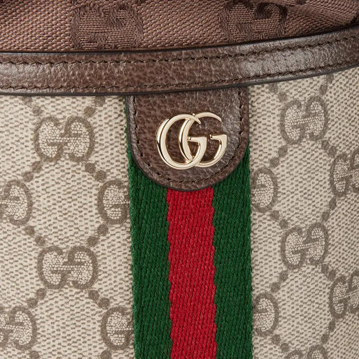 GUCCI 古驰 女士 Ophidia系列 迷你水桶包 混色 838462 FAE0O 9869 商品图6