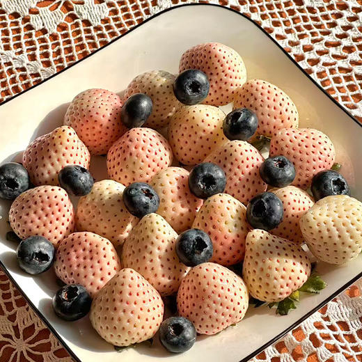 新鲜白雪公主草莓礼盒高端水果果香四溢空运直达产地直采当天采摘当天发货生日礼物伴手礼首选 商品图5