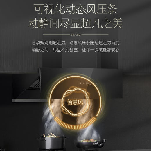 卡萨帝（Casarte）烟机 CXW-358-CLHUD 商品图8