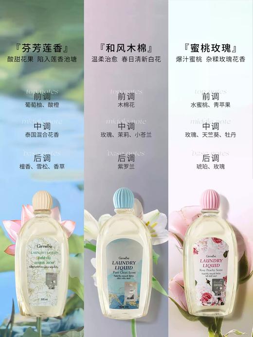 芝芙莲内衣洗衣液500ml 商品图1