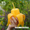 喜禾农场金煌芒6斤装（4-6个）| 树上自然成熟、香甜多汁、个大肉厚、回味悠长 商品缩略图3