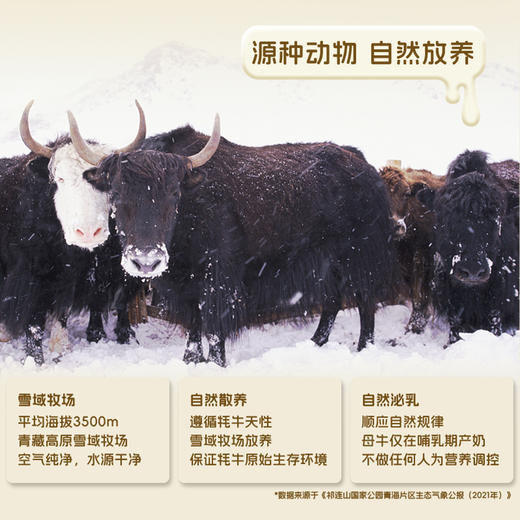 青藏祁莲 原味酸奶 200g*12支/箱 商品图6