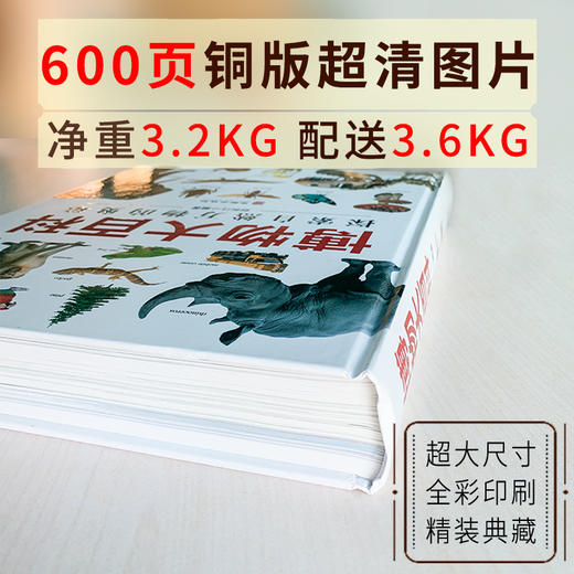 《博物大百科全书》正版少儿科学书籍探索自然万物的奥秘6-10-16岁 商品图3