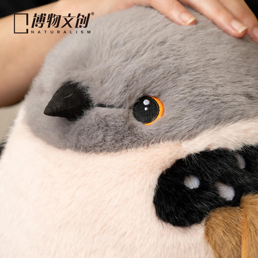 博物文创 大圆宝珠颈斑鸠 咕咕咕 新年元旦生日礼物 商品图2