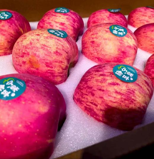 【悠选好货】甘肃静宁苹果礼盒国家地理标志产品顺丰包邮 商品图4