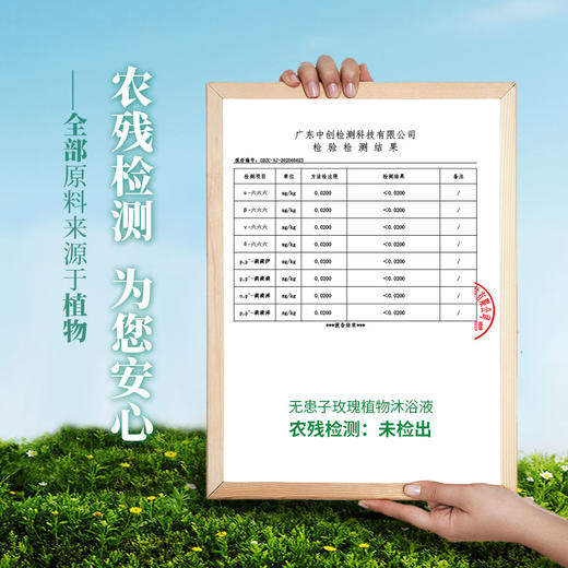 无患子玫瑰植物沐浴液纯植物配方无刺激 商品图5