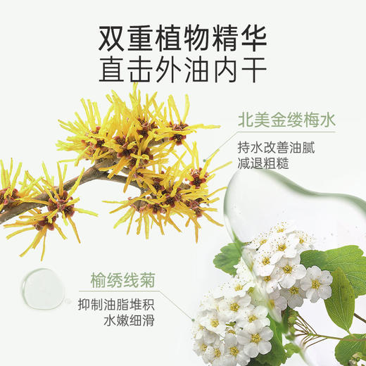 【控油洁面乳】 深层清洁 温和洁净 收敛毛孔 茶树控油氨基酸洁面乳100g 商品图4