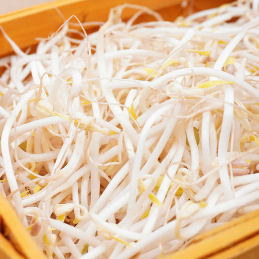 有机绿豆芽200g自然发芽无化学农药激素清脆爽口满额包邮 商品图3
