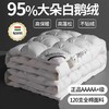 五星级酒店羽绒被95白鹅绒春秋被加厚冬季保暖婚庆被芯 商品缩略图0