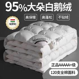 五星级酒店羽绒被95白鹅绒春秋被加厚冬季保暖婚庆被芯