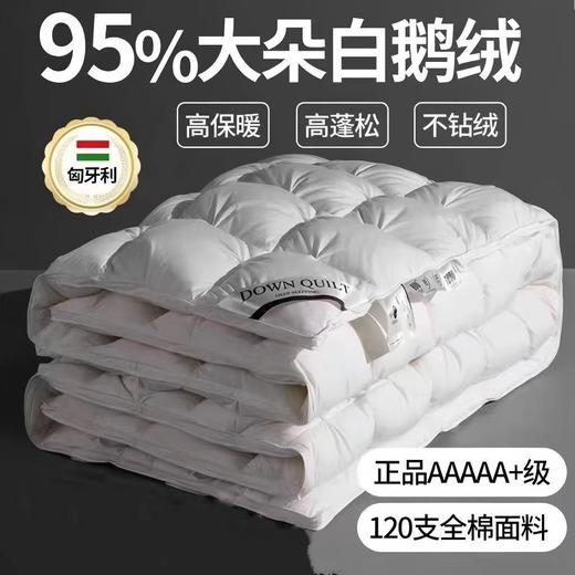 五星级酒店羽绒被95白鹅绒春秋被加厚冬季保暖婚庆被芯 商品图0