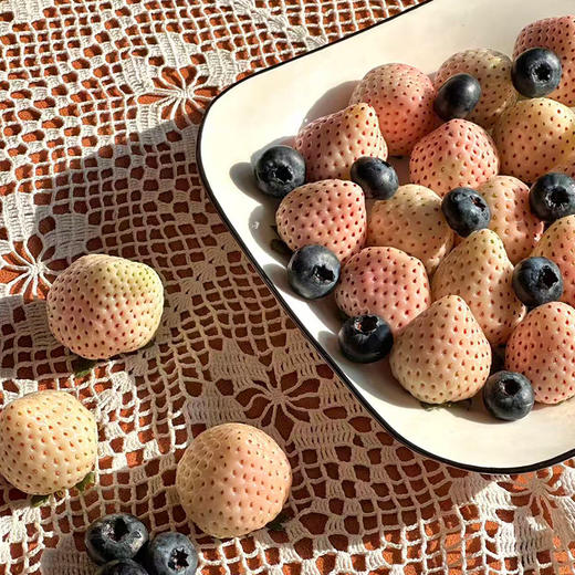 新鲜白雪公主草莓礼盒高端水果果香四溢空运直达产地直采当天采摘当天发货生日礼物伴手礼首选 商品图4