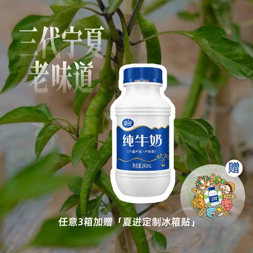 夏进纯牛奶243ml×15瓶 商品图0