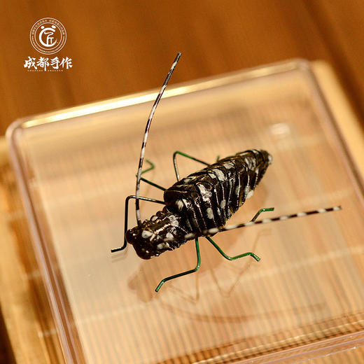 #非遗礼遇季#成都手作棕编装饰摆件 新繁棕编 非遗手工礼品 动物昆虫摆件玩具 清仓活动售完即止 商品图5