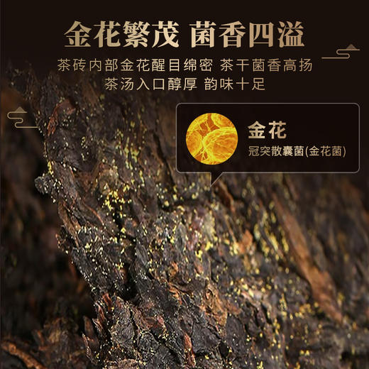 疯抢中！！【中华老字号+联合国&GJ级非遗】【湘益茯茶·五年陈金花茶仓】入口顺滑 好喝更健康 240g*盒/送高端手提礼盒*礼袋 商品图10