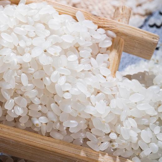 鑫龍清大米5kg【产地直发】 商品图2