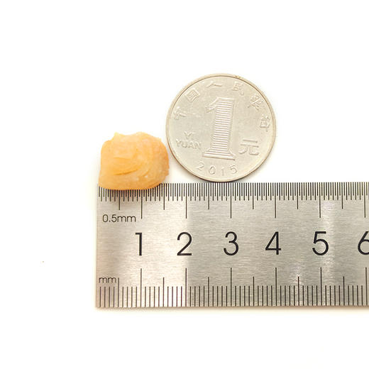 生晒干贝188克 商品图3