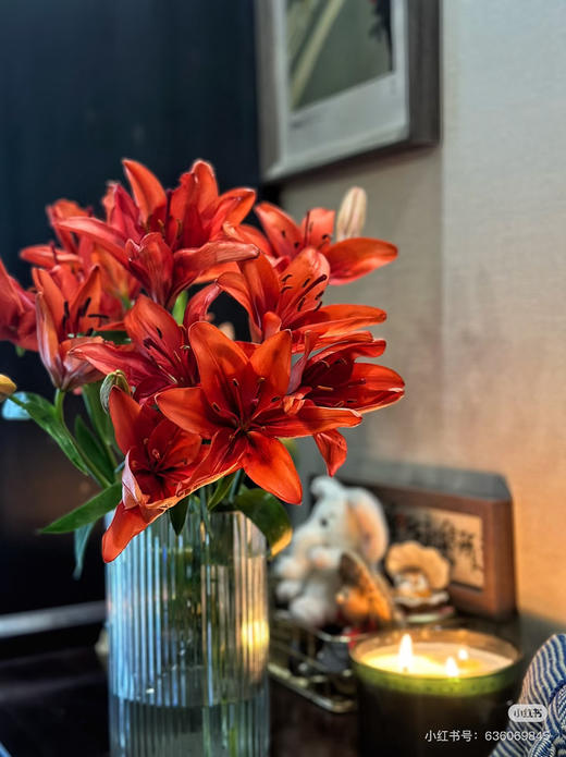 【精品百合】亚百合/红宝石 3头  5枝/扎 商品图3