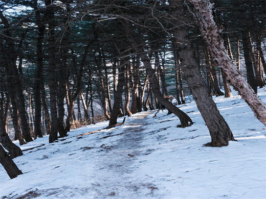 【老龙窝1日】｜京郊屋脊的森林秘境の上大摩-老龙窝-马栏村12公里 商品图2