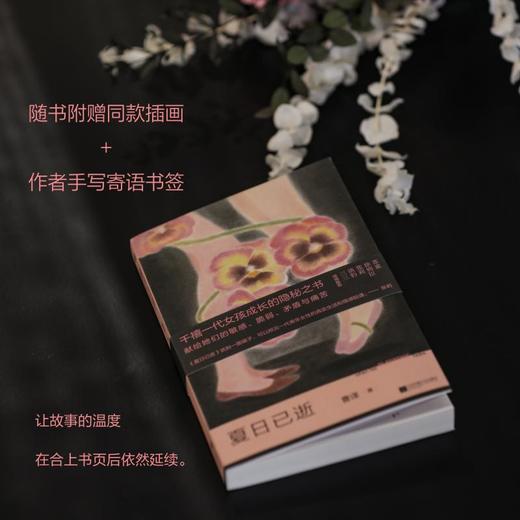 夏日已逝 商品图1