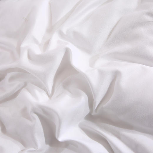 超柔绣花羽丝绒被【悠梦嘉居YB-15111超柔绣花羽丝绒被200*230CM3000克  超柔保暖冬被羽丝绒被，暖白】 商品图4