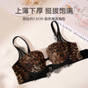 芬腾女士内衣记忆钛软圈性感蕾丝舒适聚拢文胸上托防下垂透气胸罩 商品缩略图2