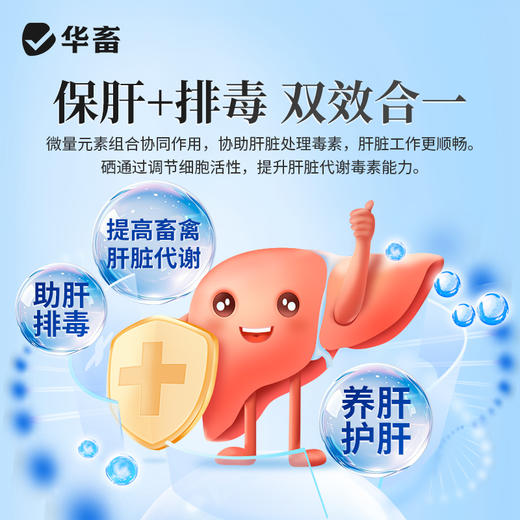 肝毒清500g  保肝排毒 商品图2
