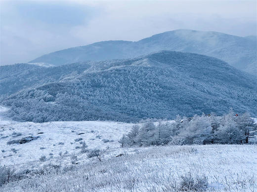 【老龙窝1日】｜京郊屋脊的森林秘境の上大摩-老龙窝-马栏村12公里 商品图3