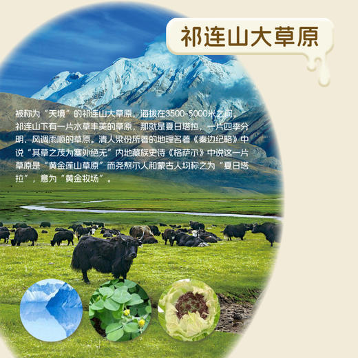 青藏祁莲 原味酸奶 200g*12支/箱 商品图5