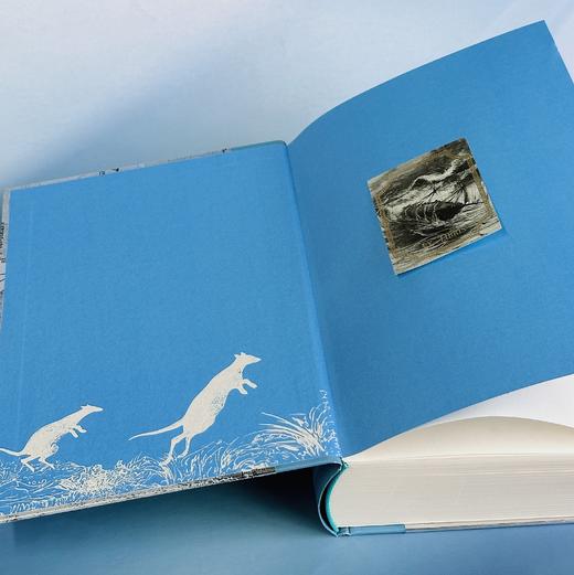 【插图珍藏版】格兰特船长的儿女 商品图2