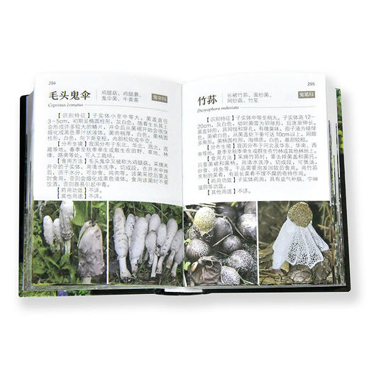 中国野菜600种全图解 商品图9