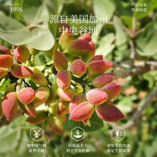 开心果430克 商品图3