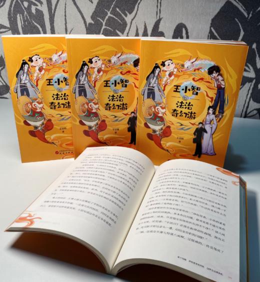 《王小智的法治奇幻游》 商品图1