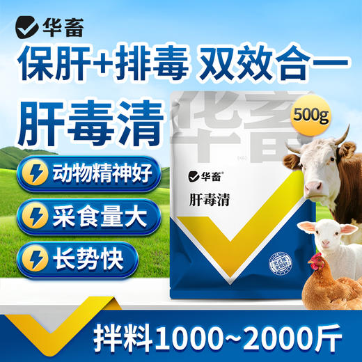 肝毒清500g  保肝排毒 商品图0